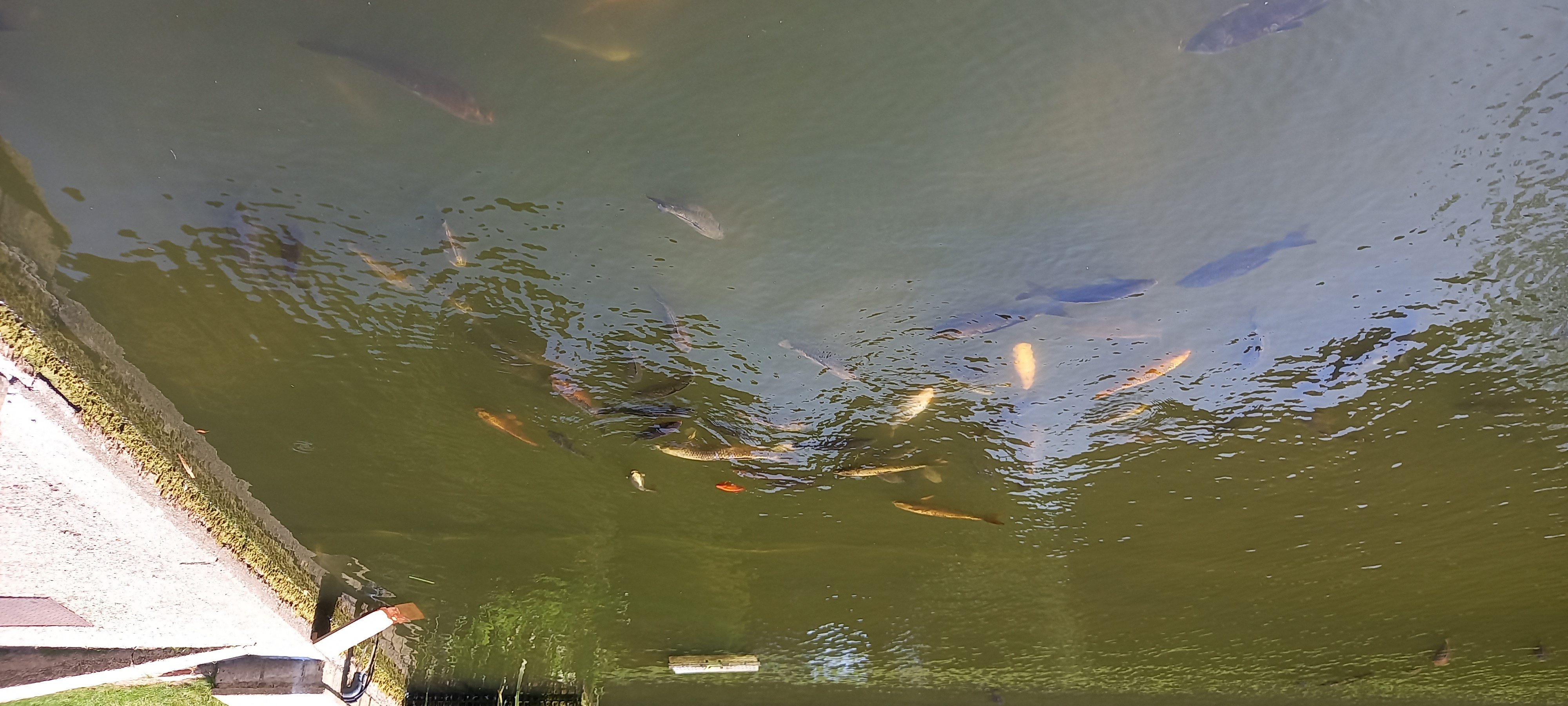 20230603_144701.jpg