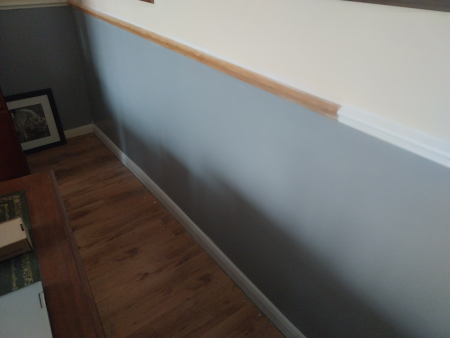 Dado rail and s...