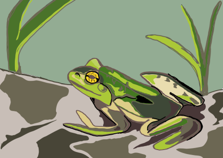 frog