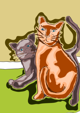 cats cats