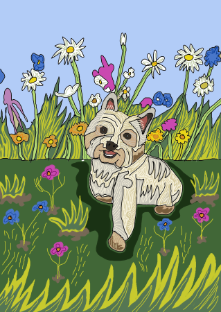 hayleysdog hayleysdog