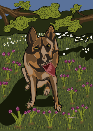 dog