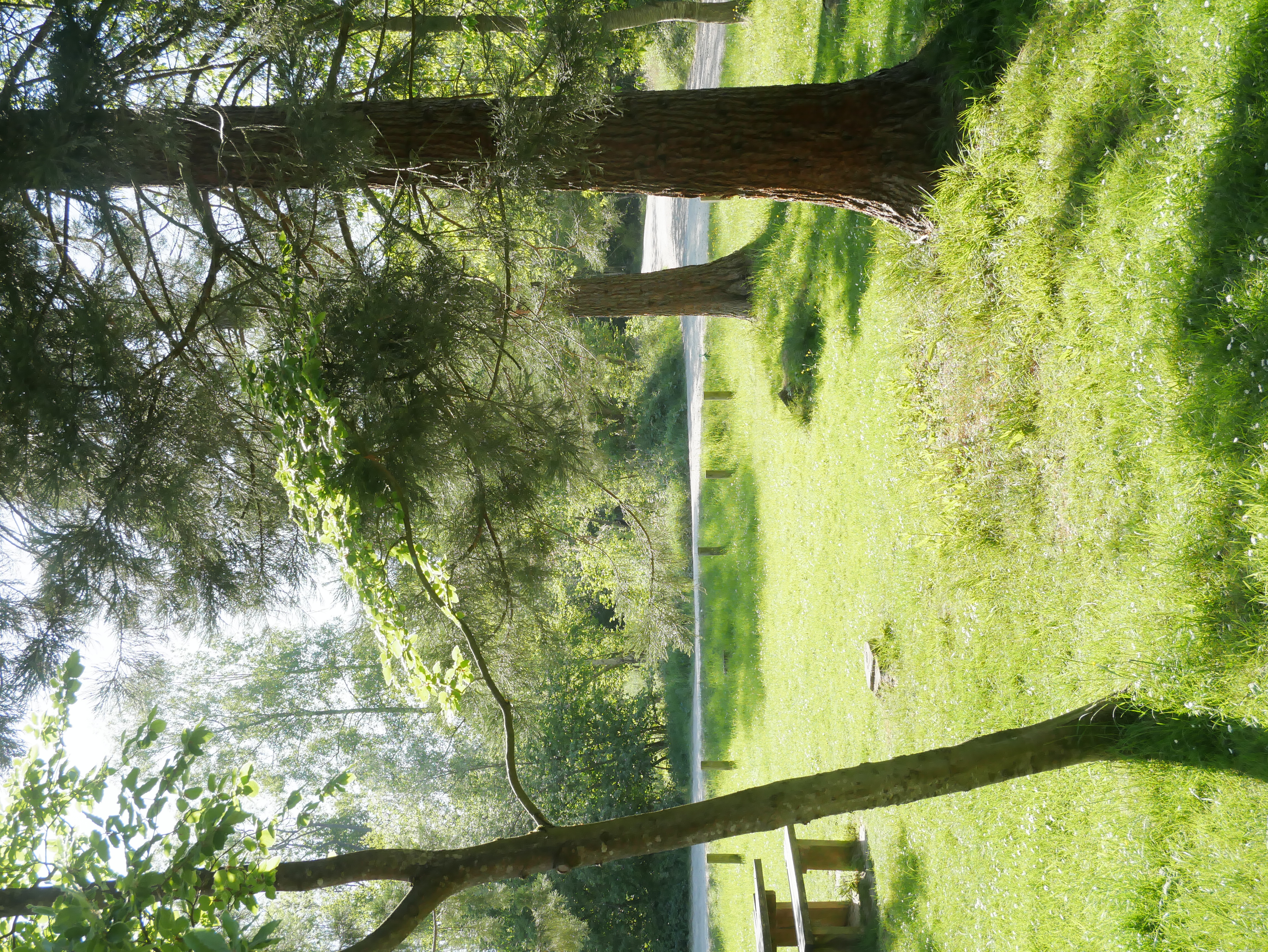 P1000368.JPG