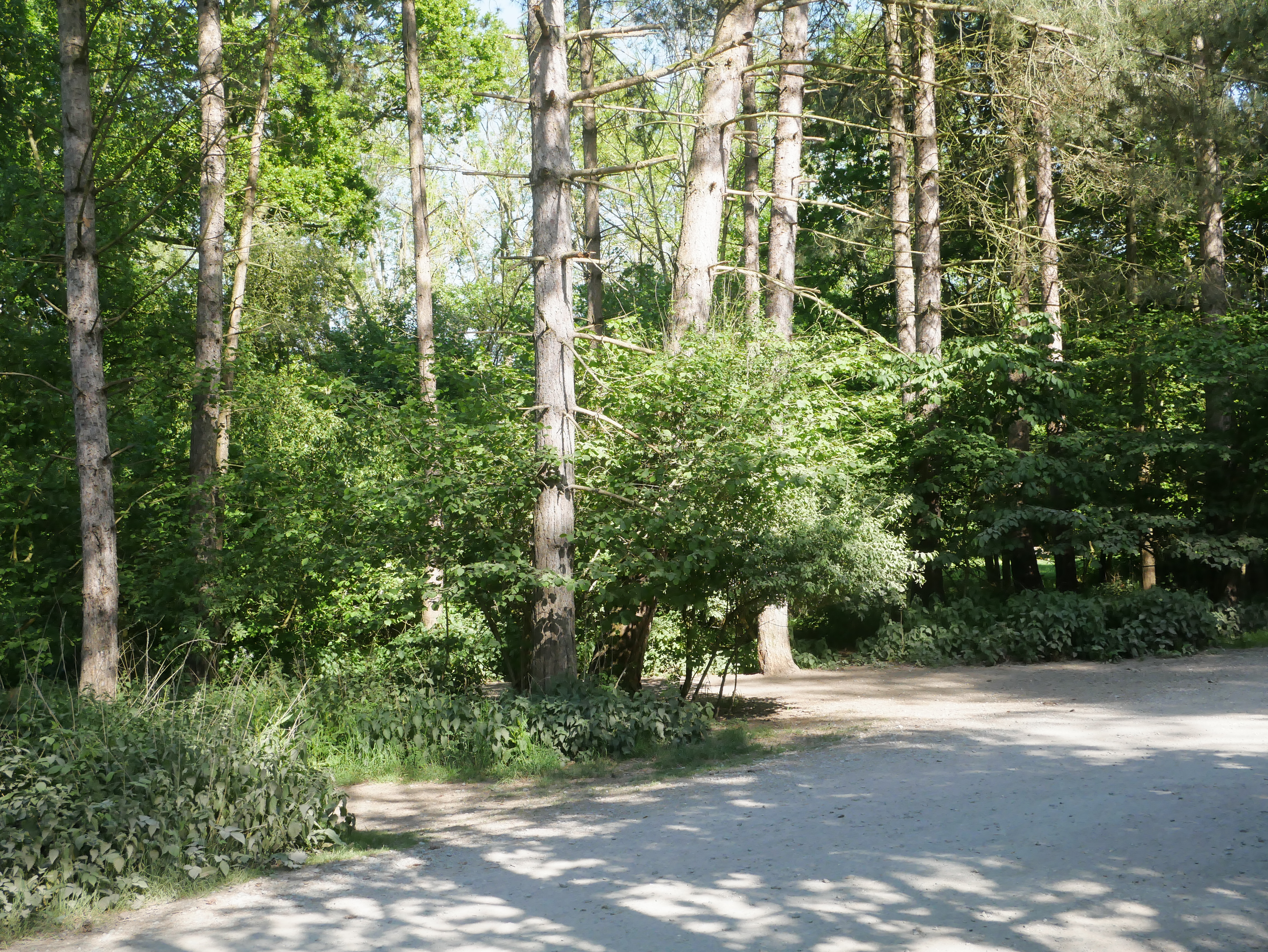 P1000373.JPG