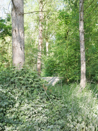 P1000374