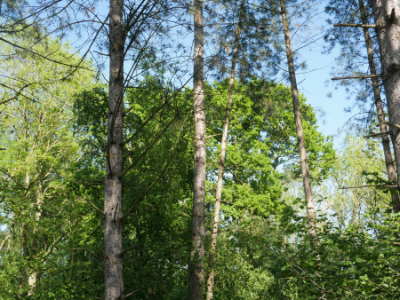 P1000375