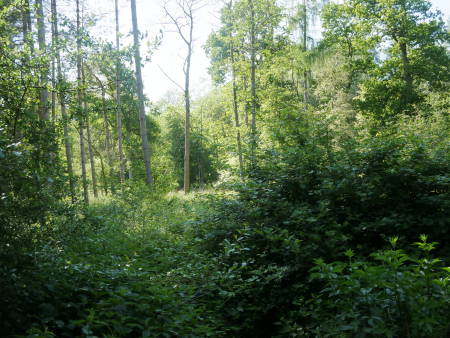 P1000383
