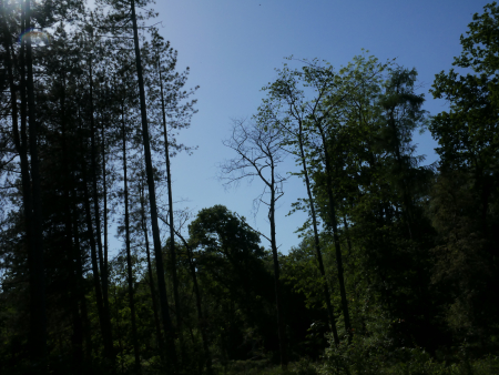 P1000385
