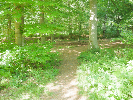 P1000397