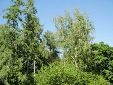 P1000404