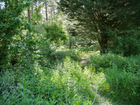 P1000405