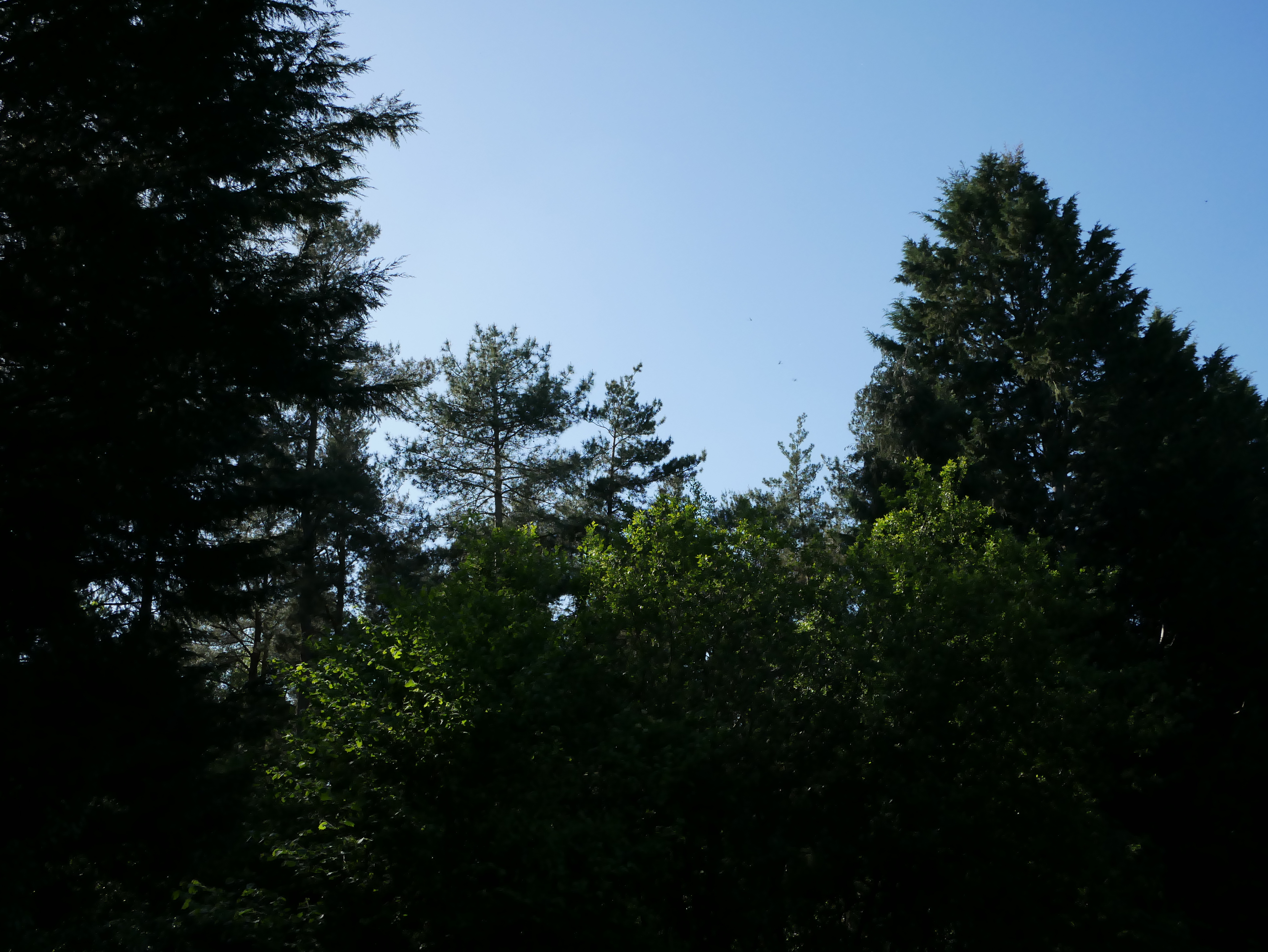 P1000406.JPG