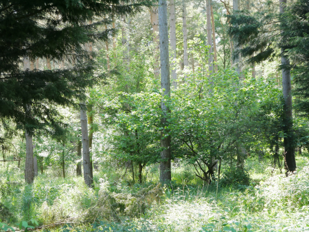 P1000412