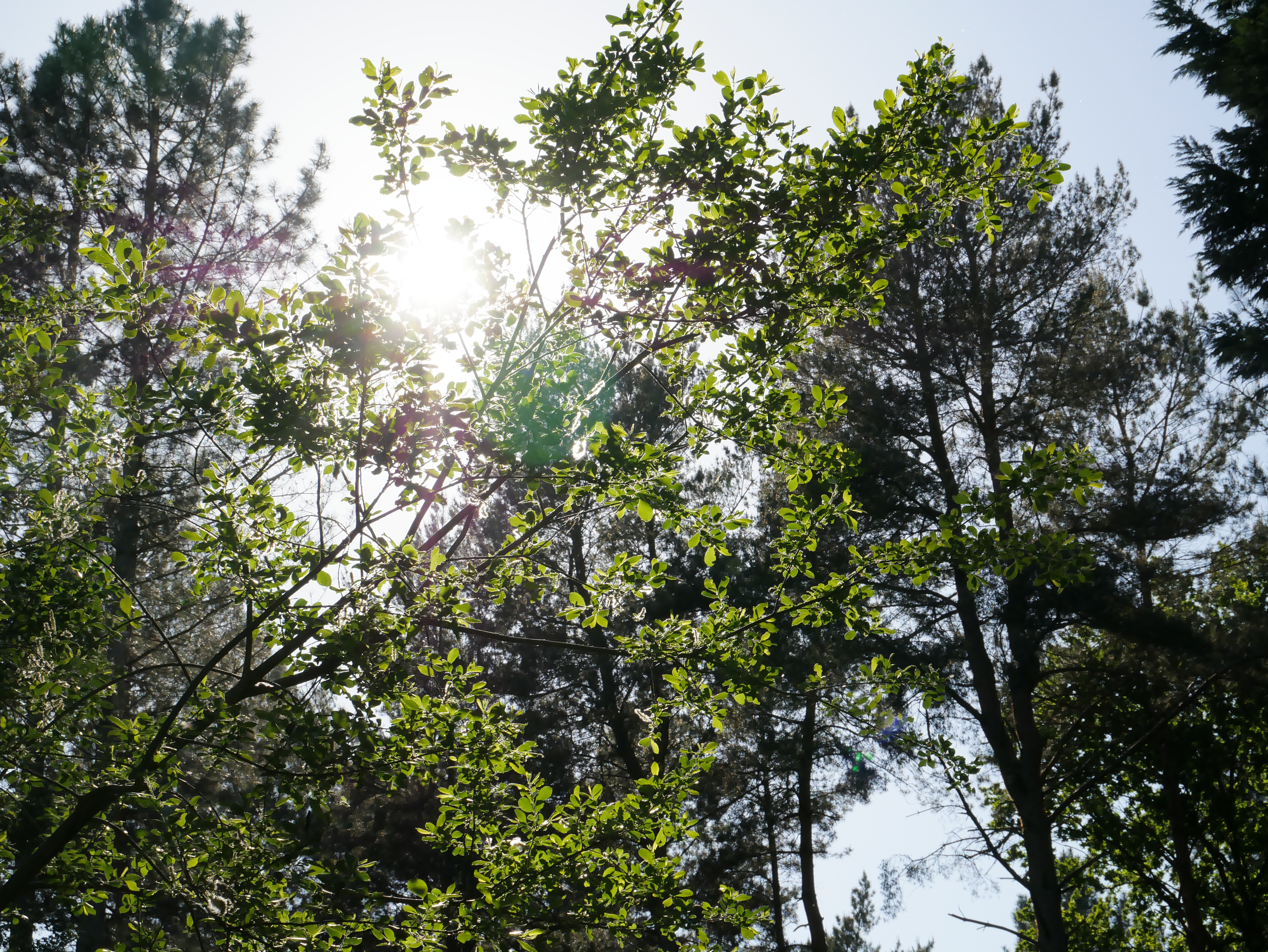 P1000417.JPG