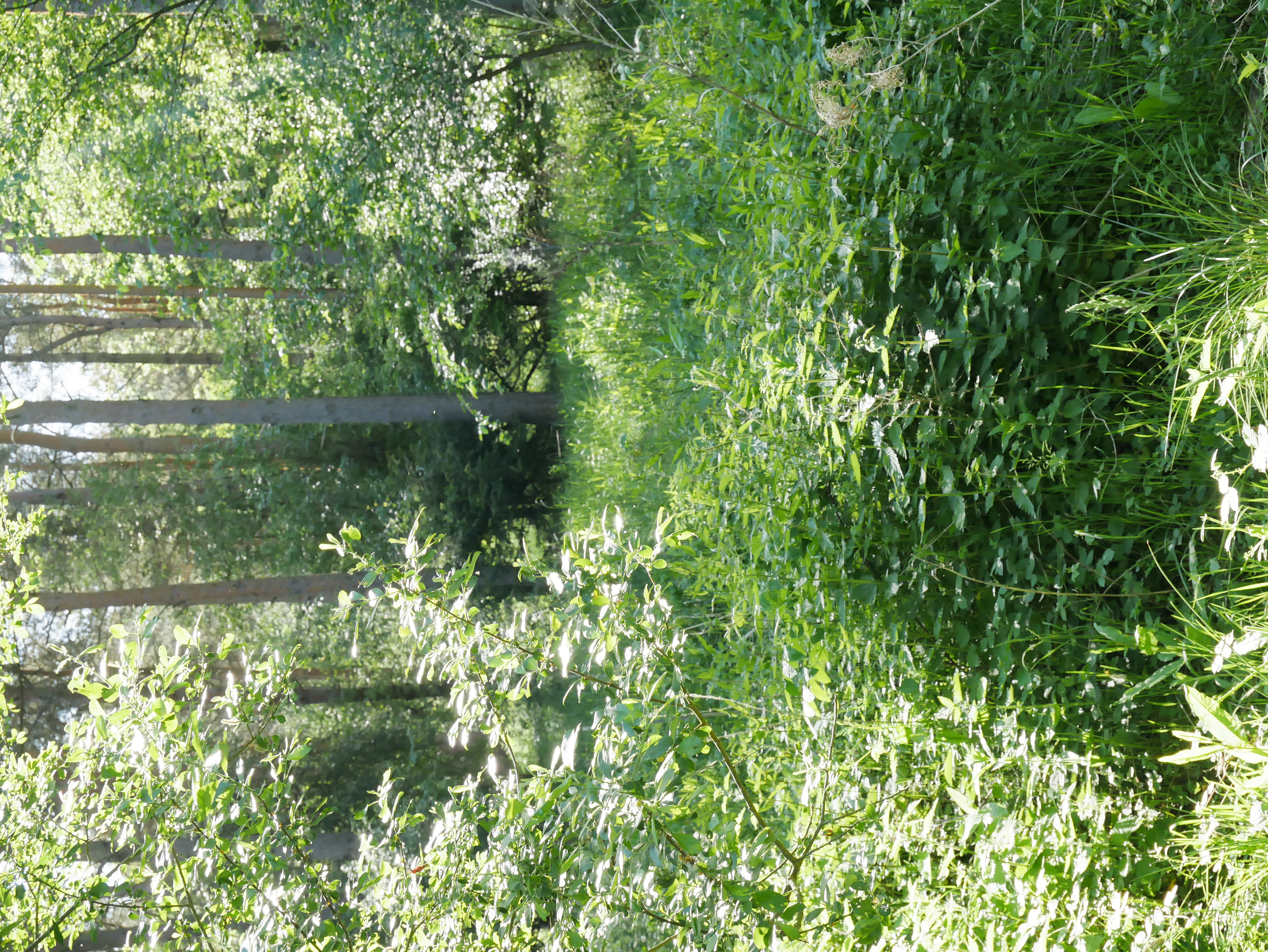 P1000418.JPG