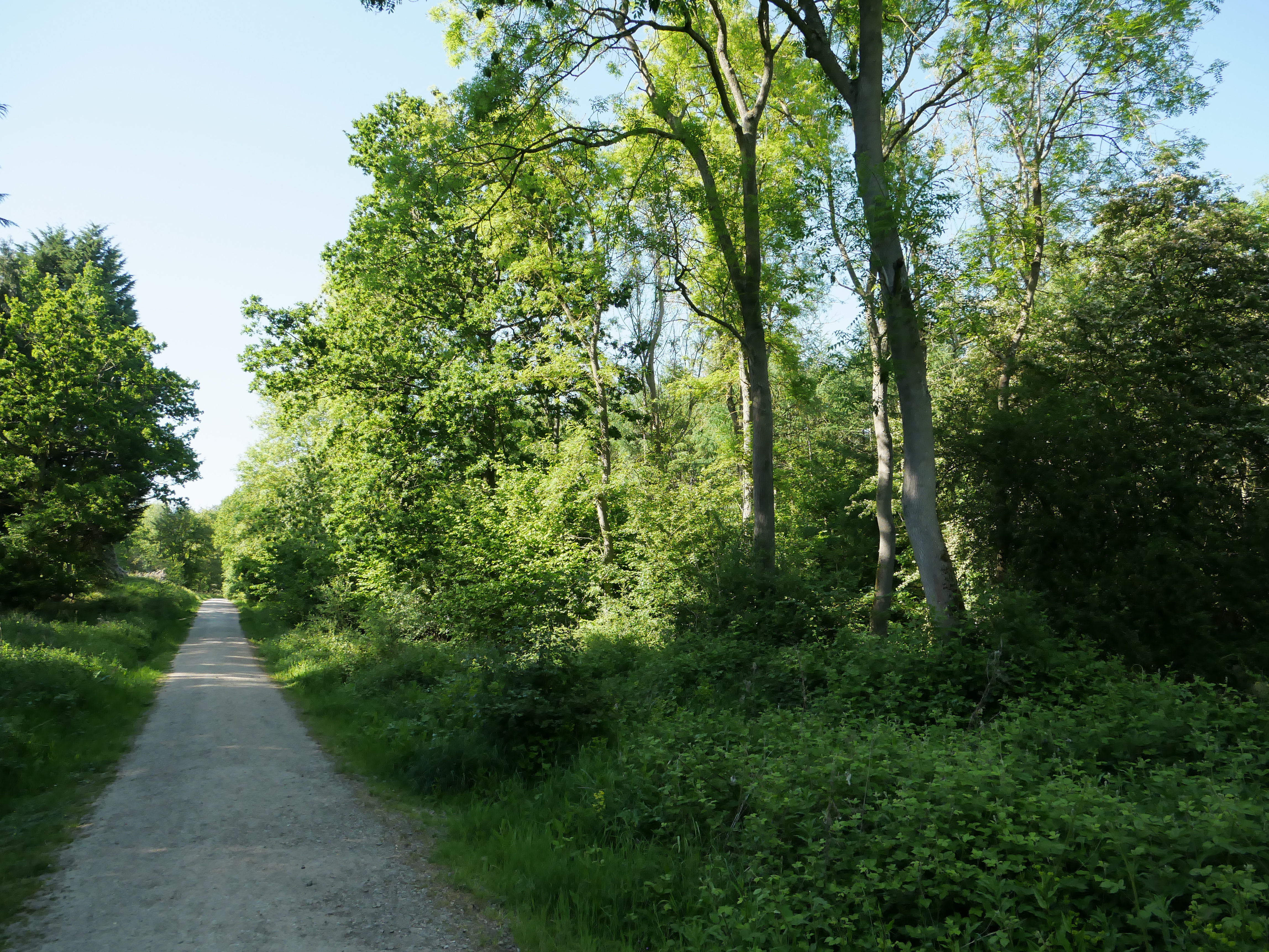 P1000421.JPG