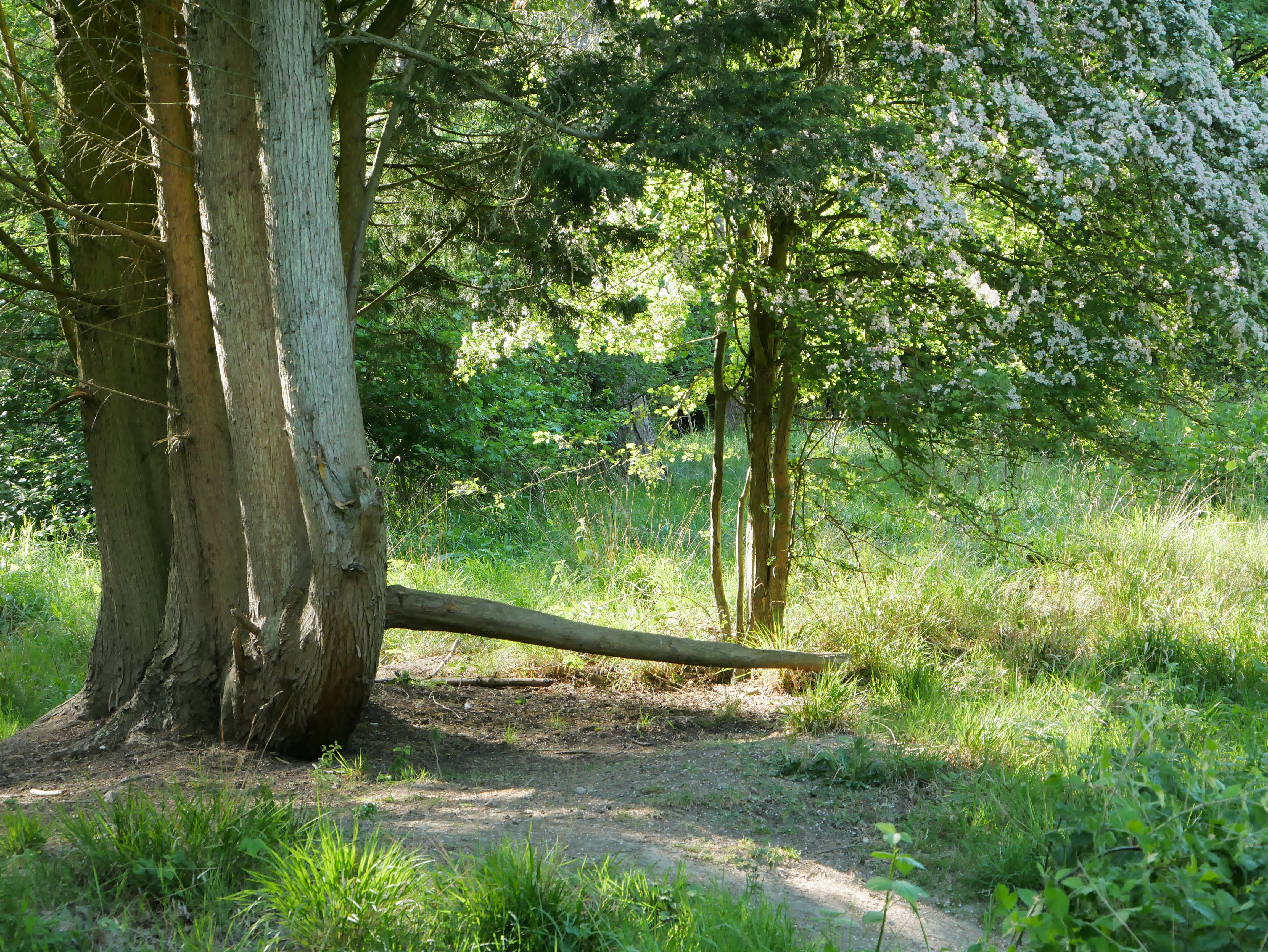 P1000426.JPG