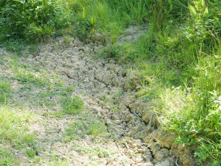 P1000439