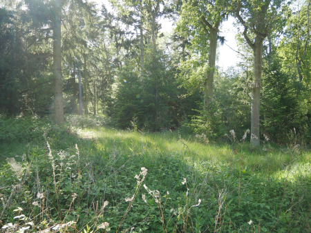P1000451