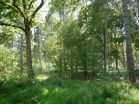 P1000466