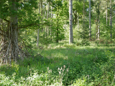 P1000469