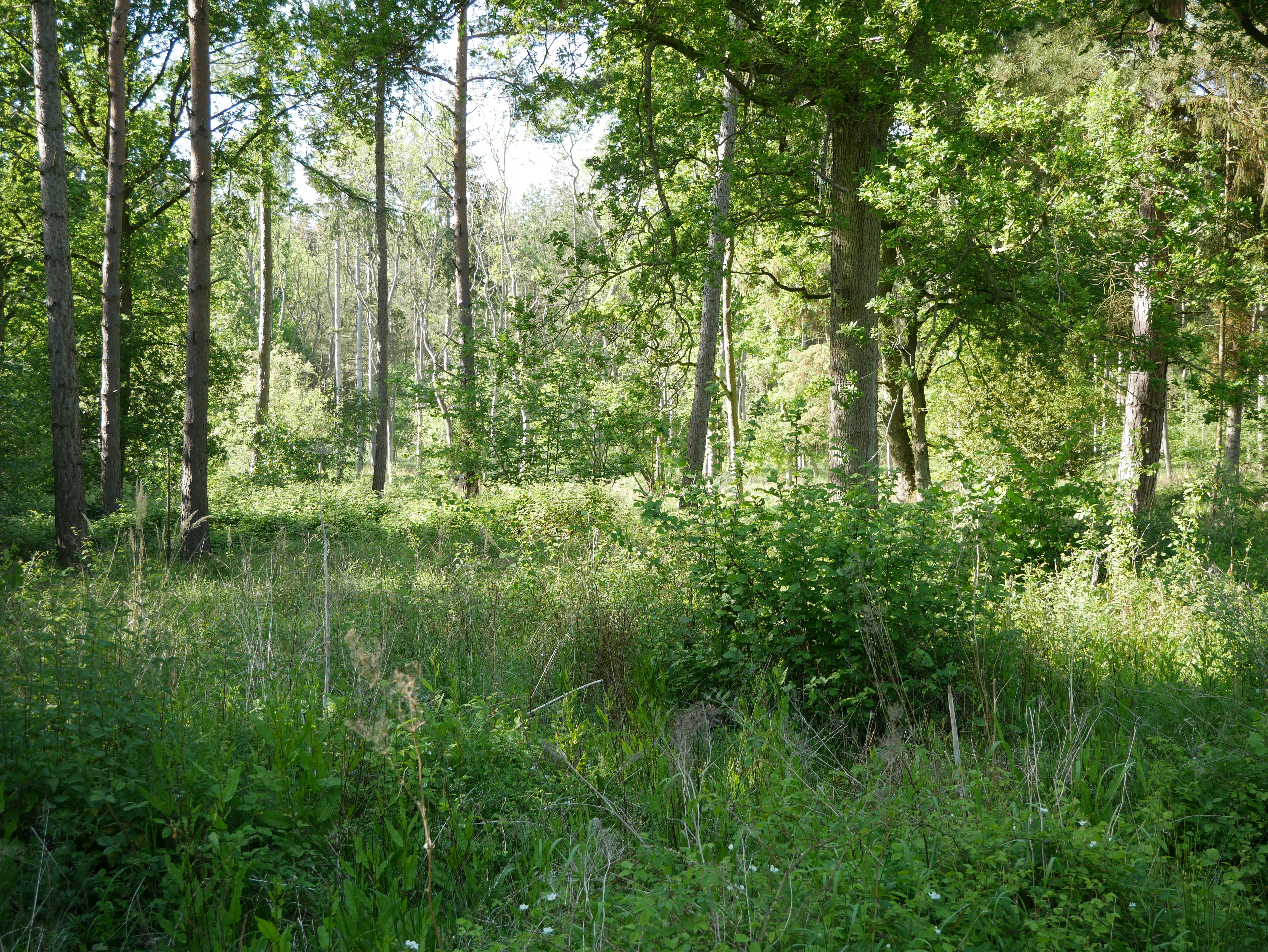 P1000472.JPG