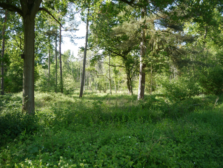 P1000476