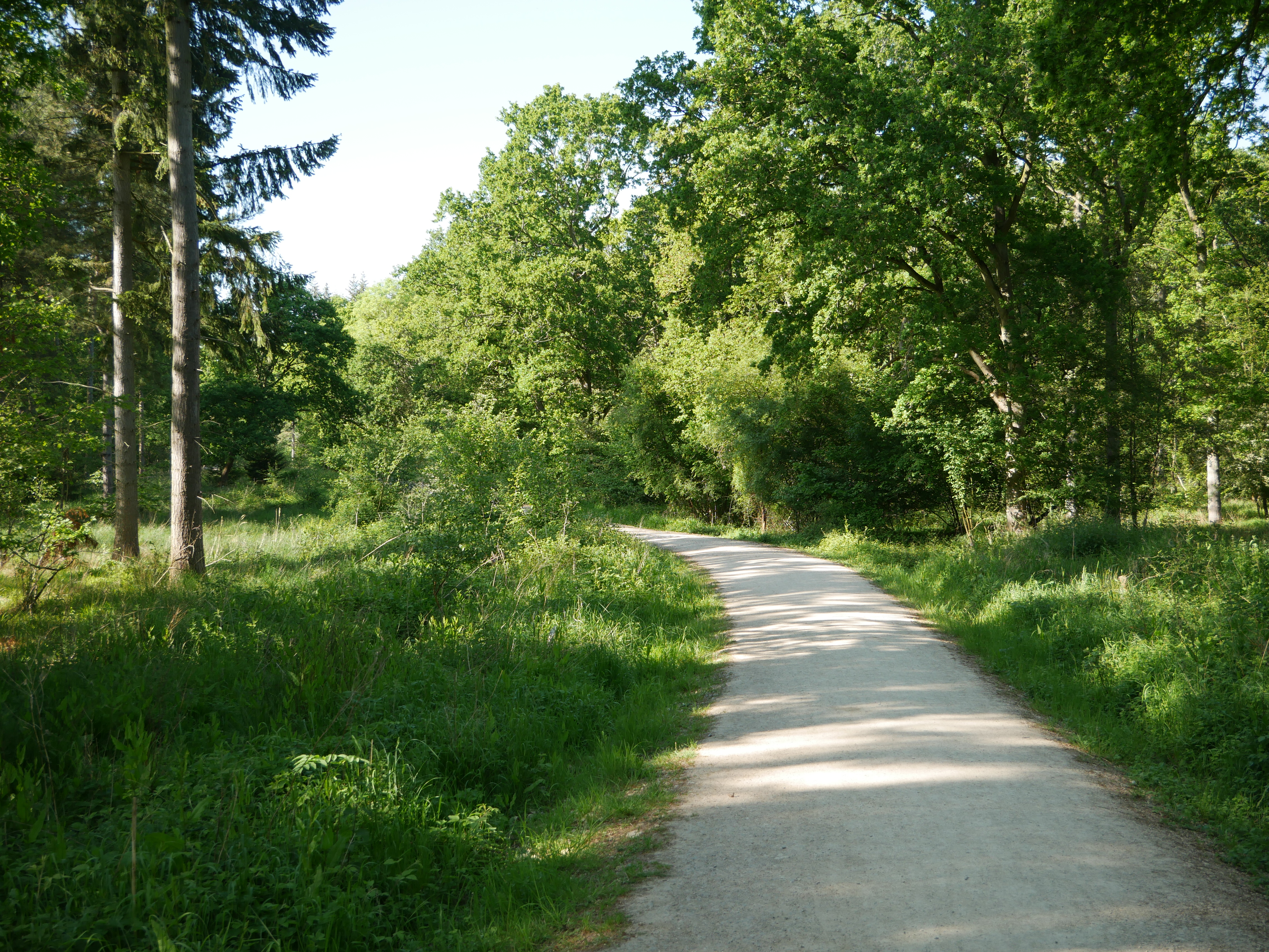 P1000481.JPG