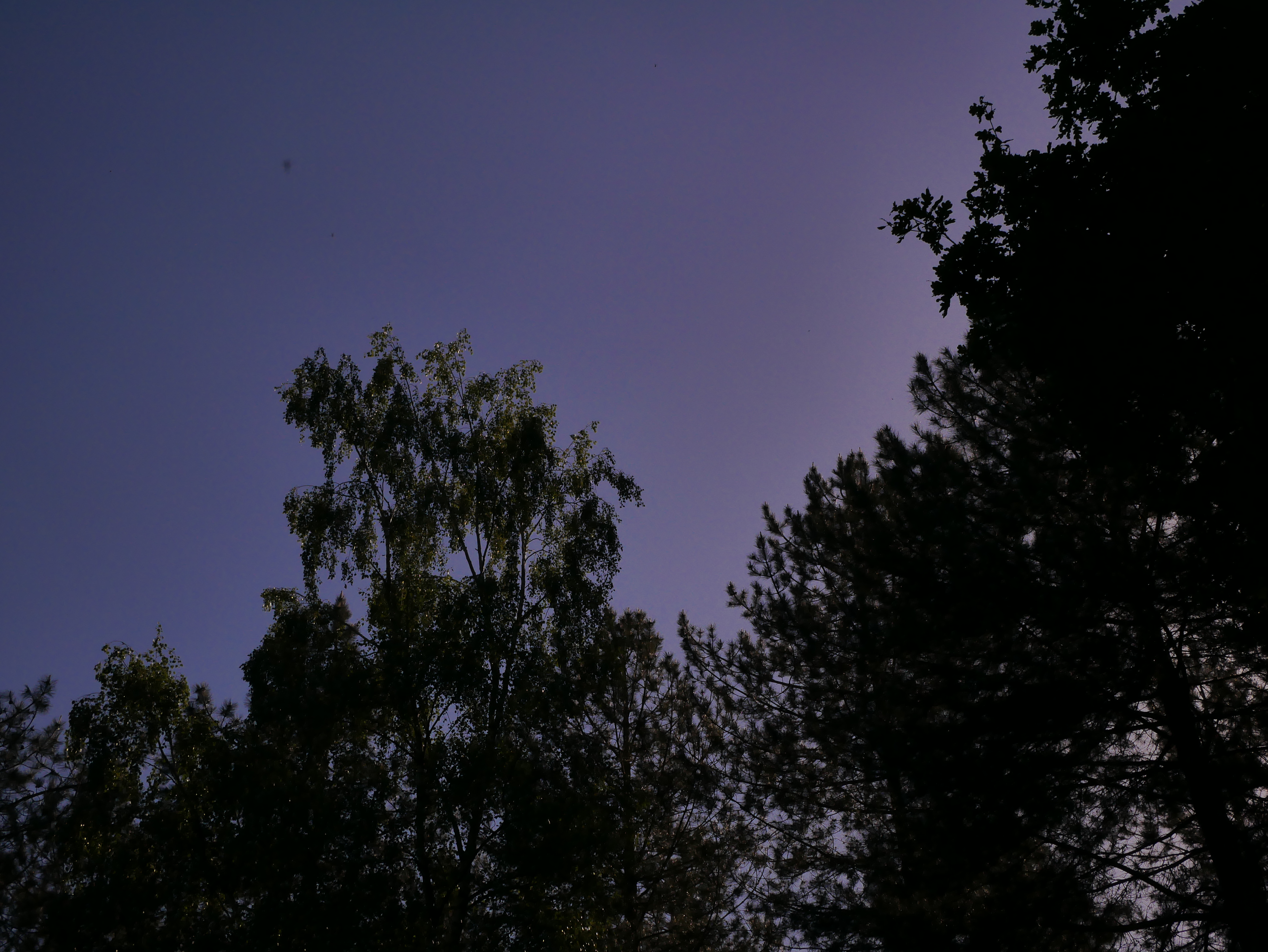 P1000501.JPG