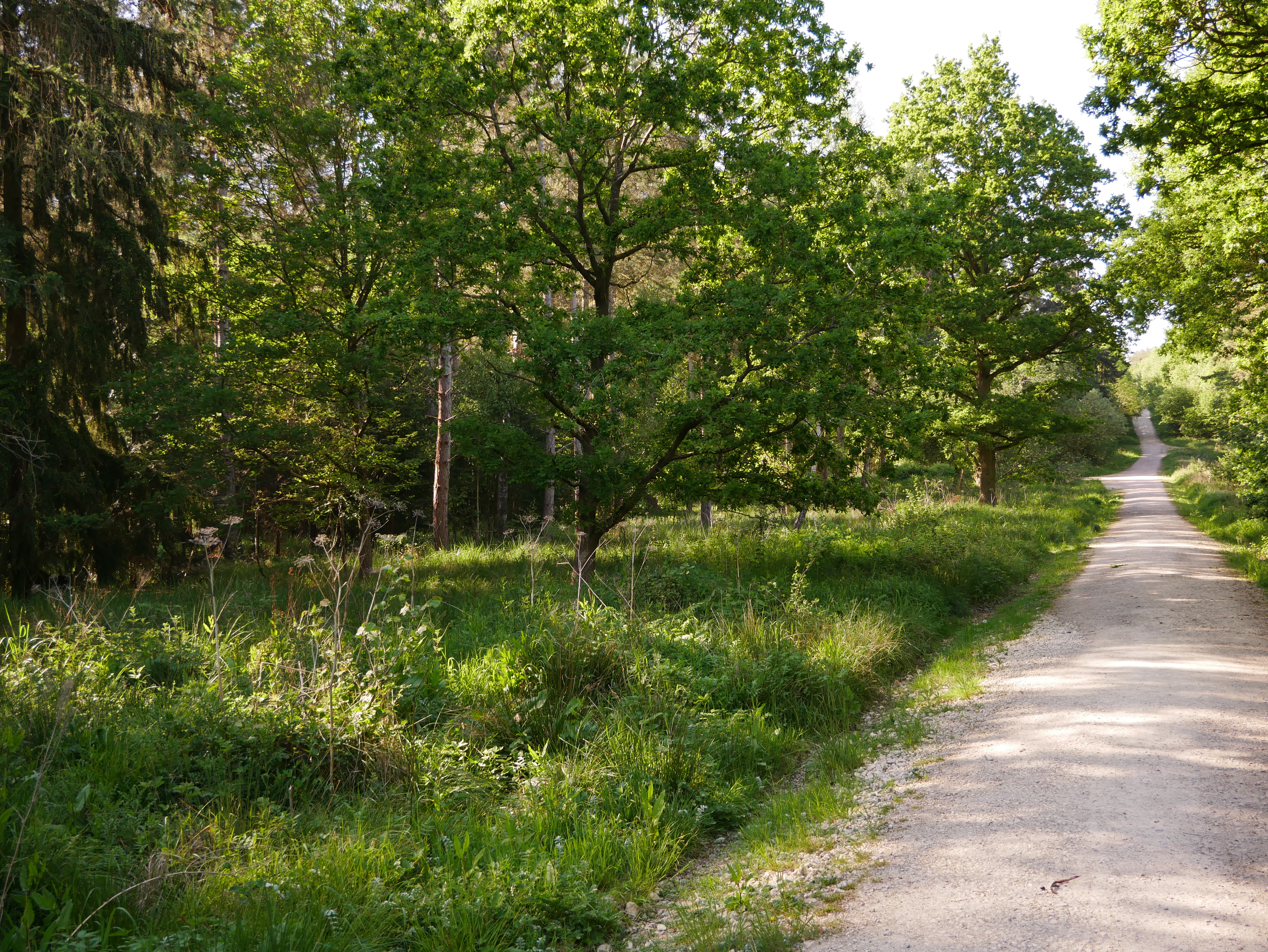 P1000504.JPG