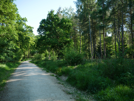 P1000508
