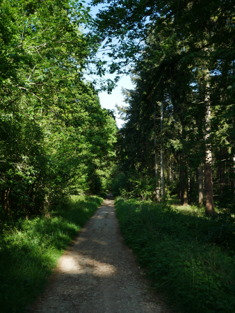 P1000520