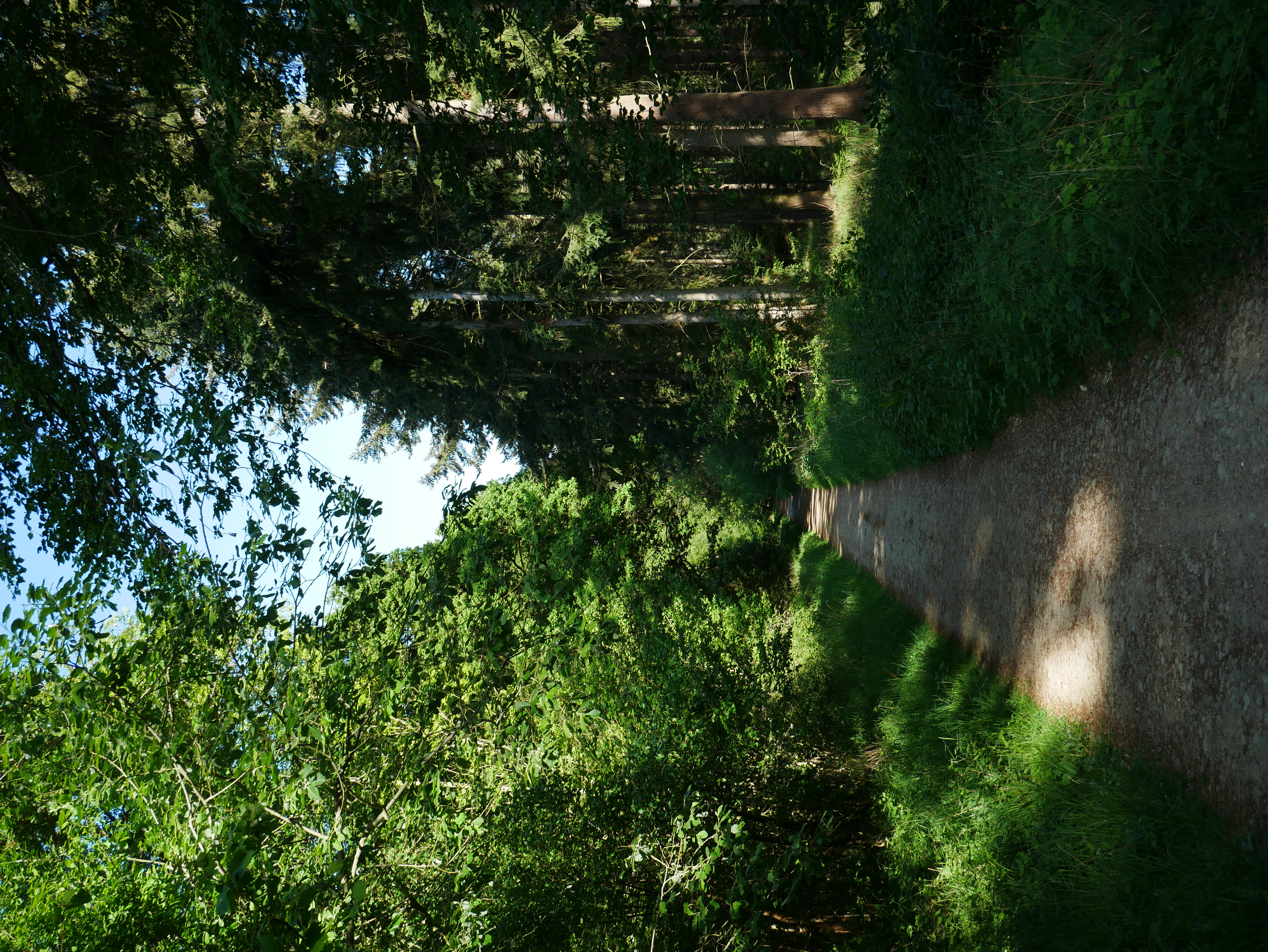 P1000520.JPG