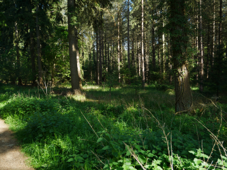 P1000522