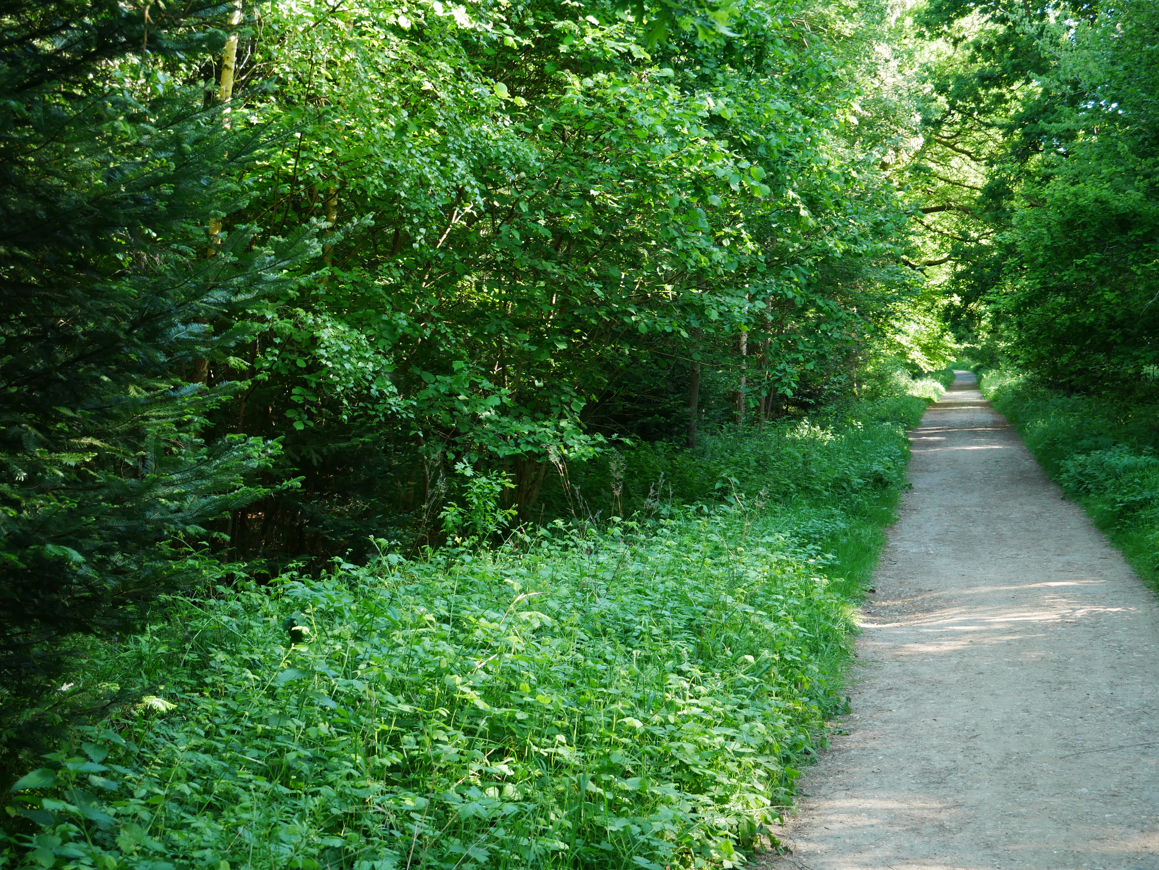 P1000533.JPG