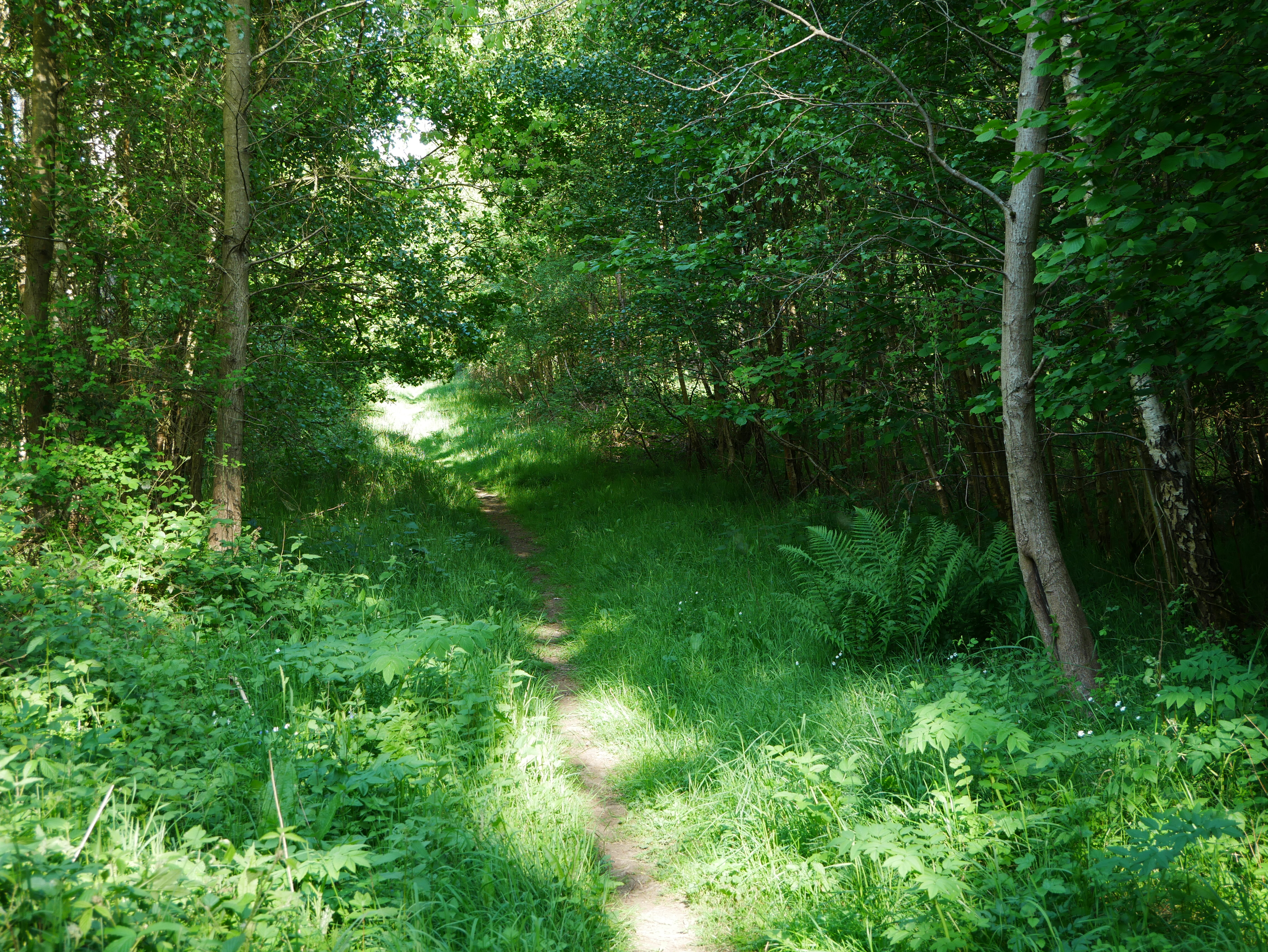 P1000541.JPG