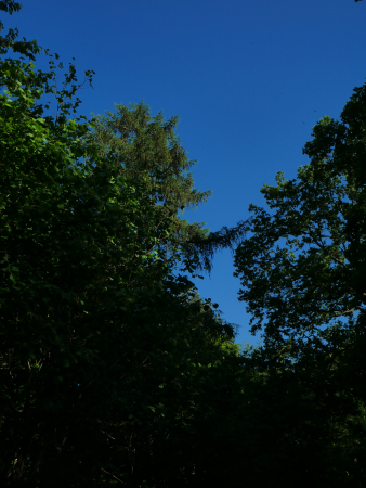 P1000546
