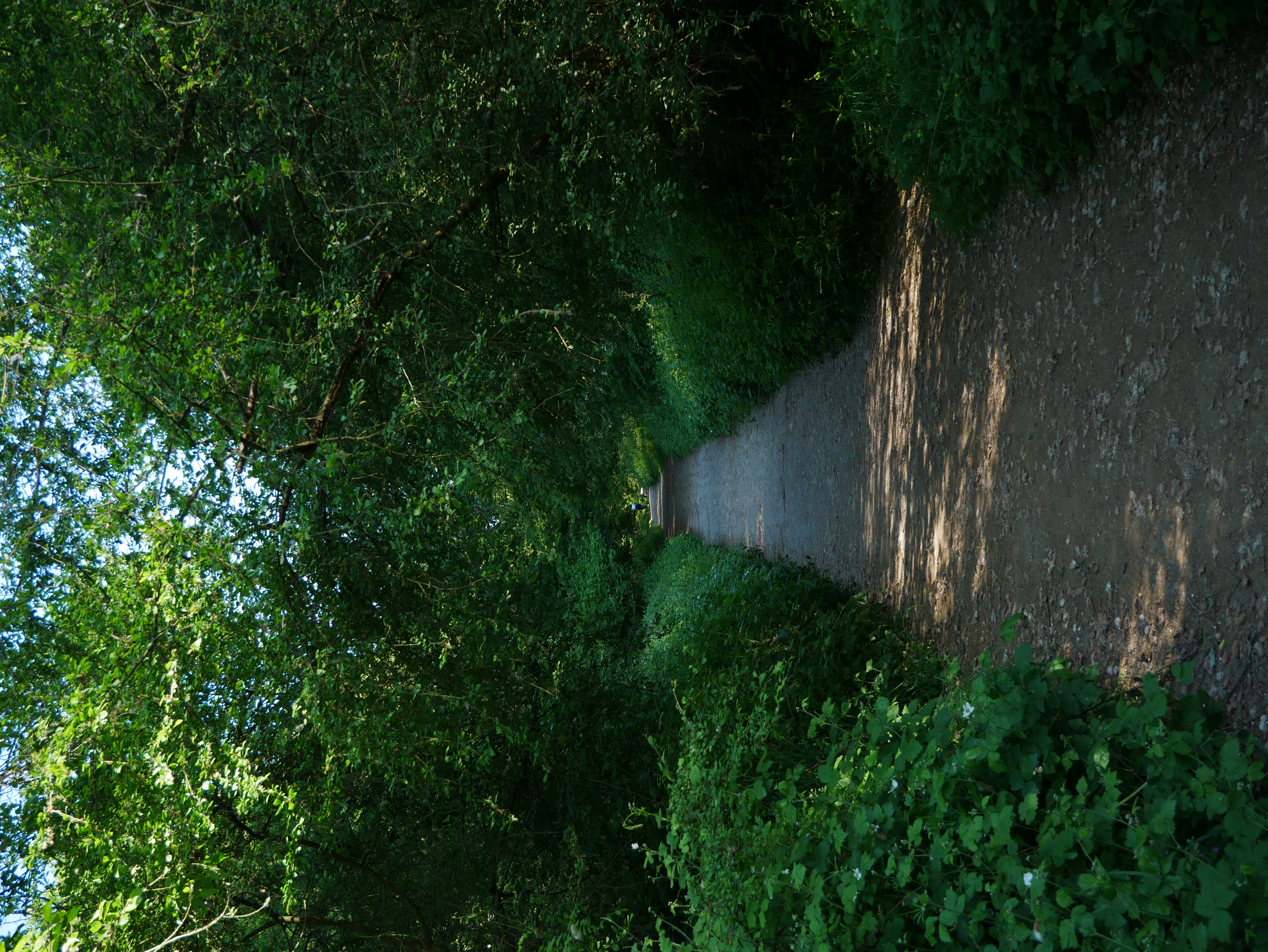 P1000552.JPG