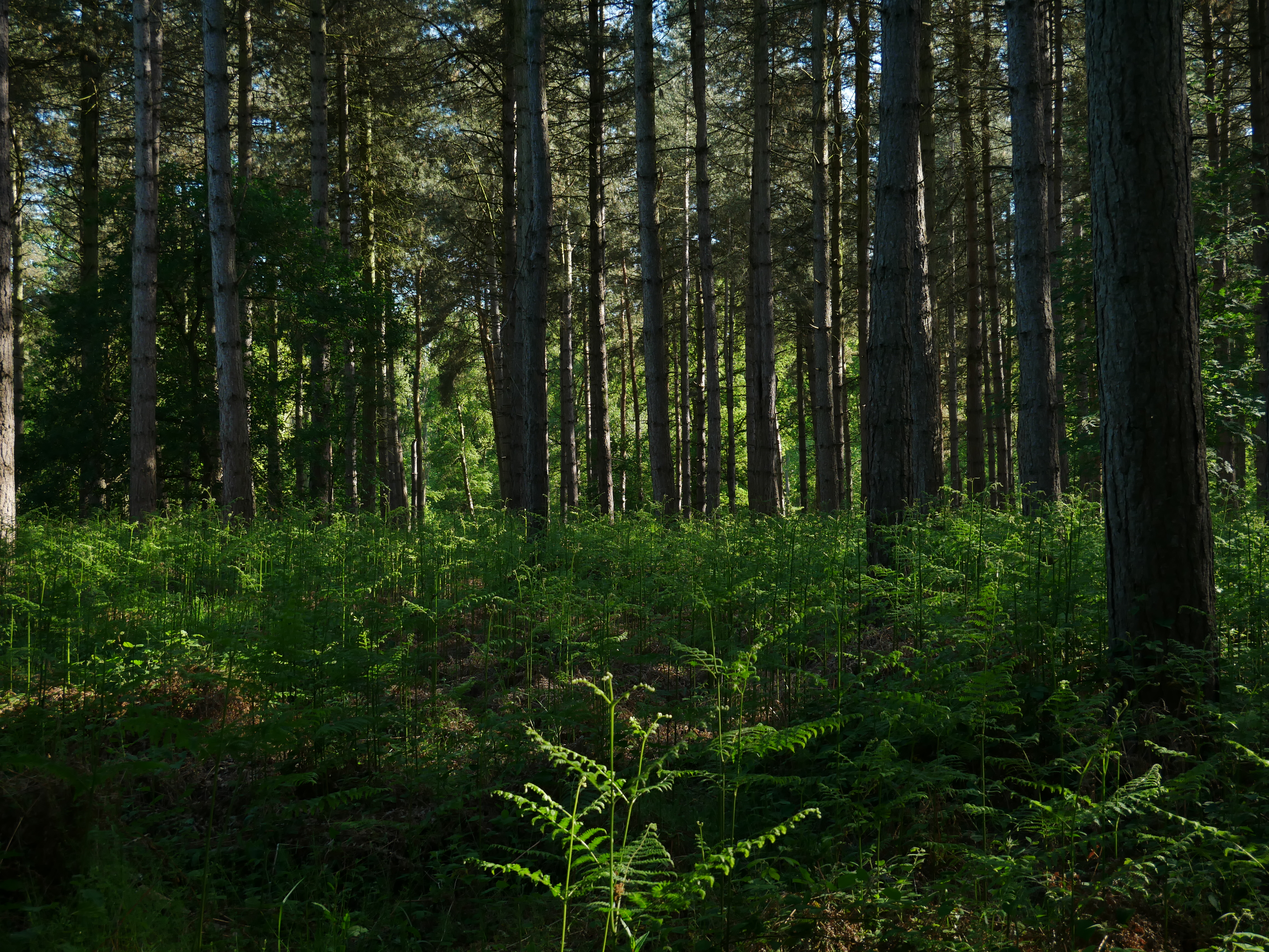 P1000554.JPG