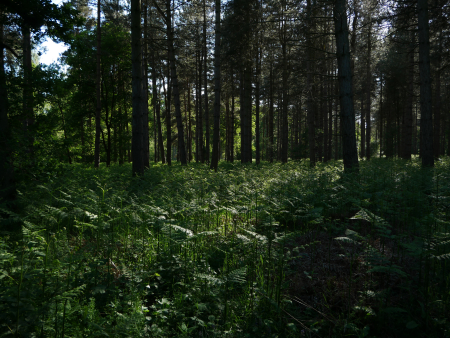 P1000560