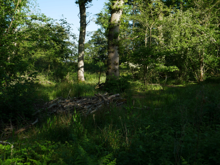 P1000569