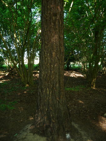 P1000579