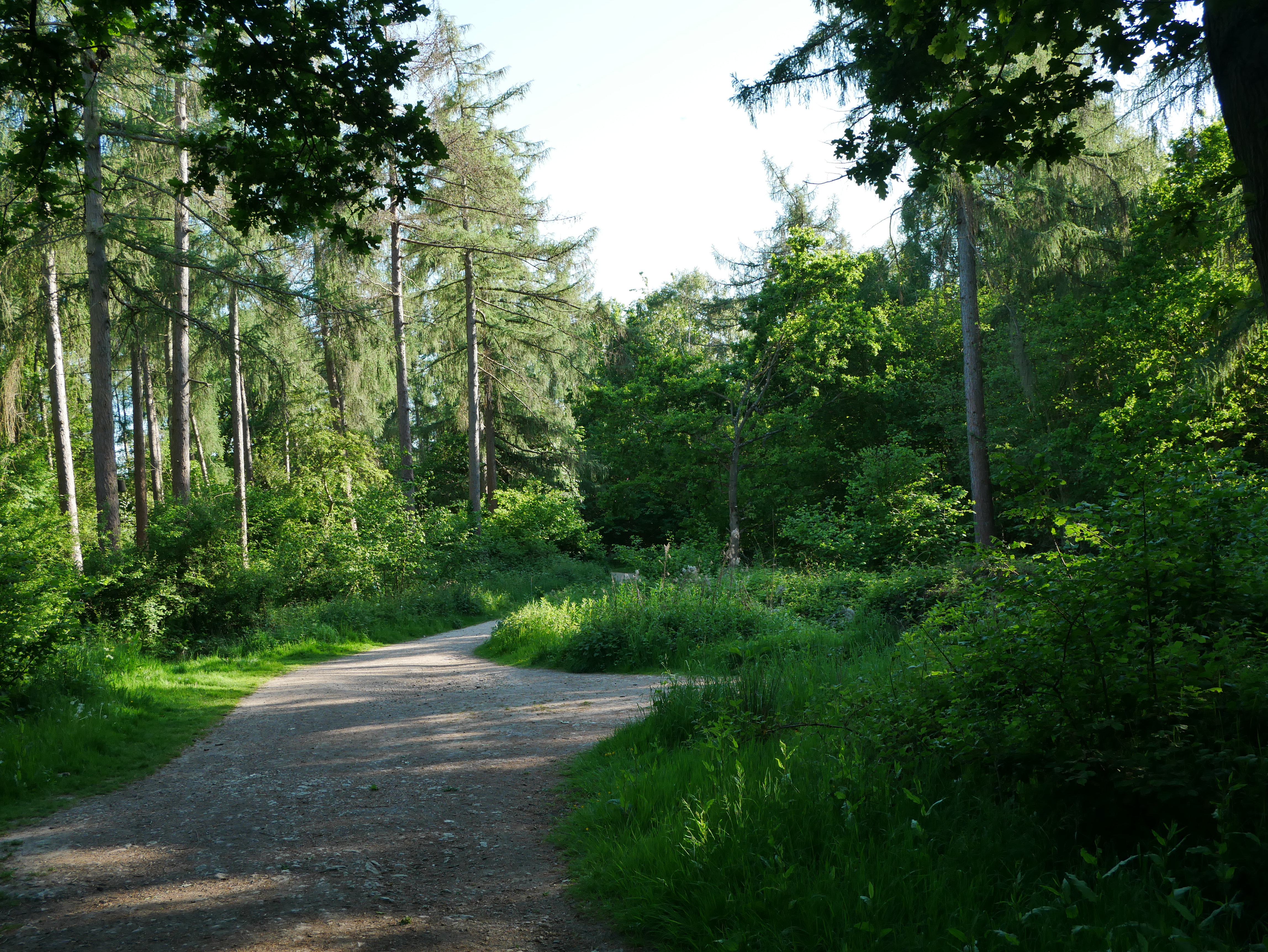 P1000581.JPG