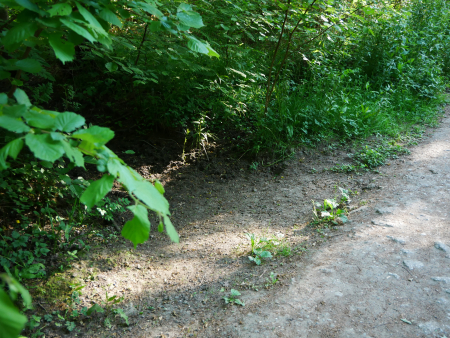 P1000585