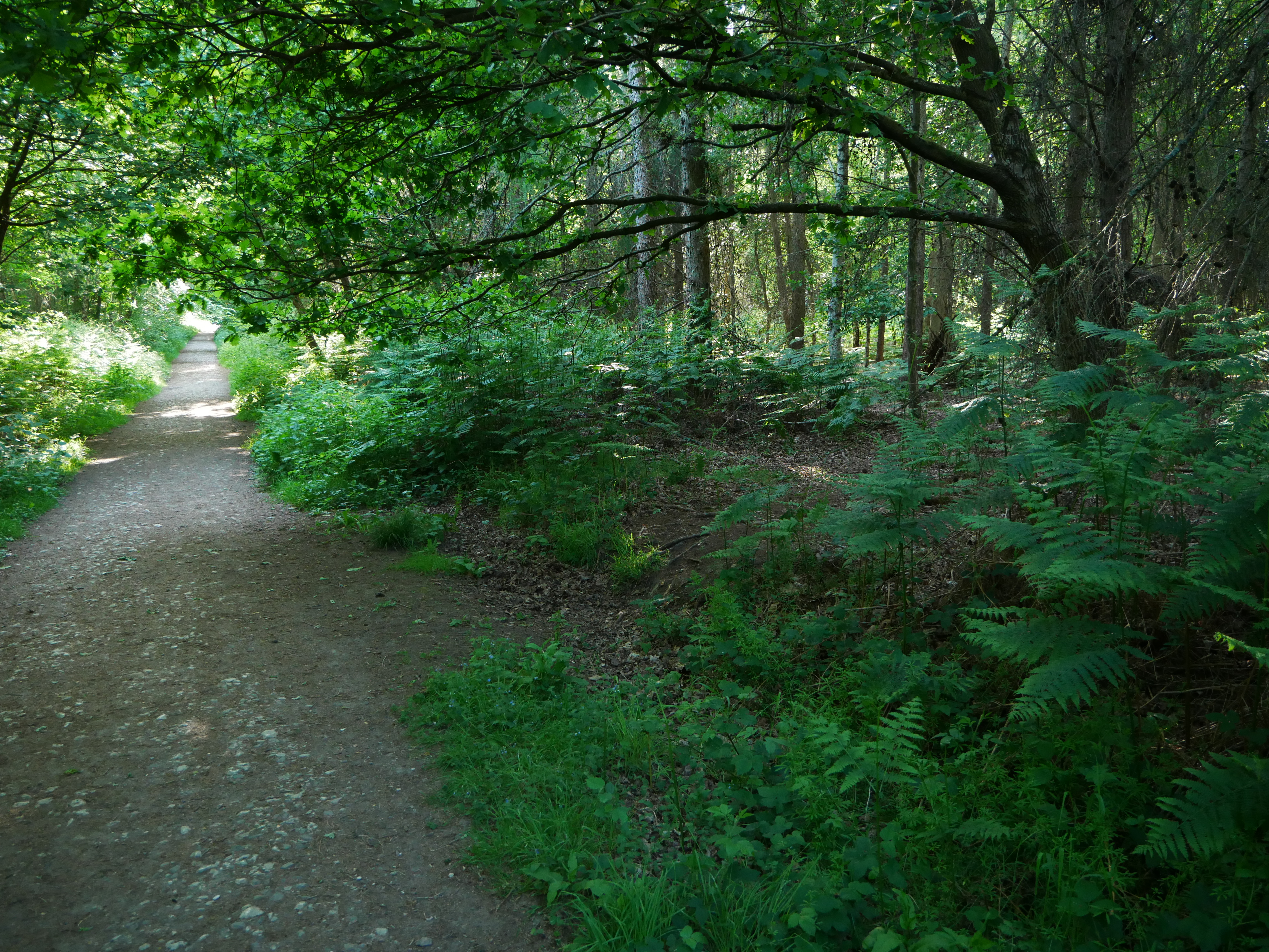 P1000588.JPG