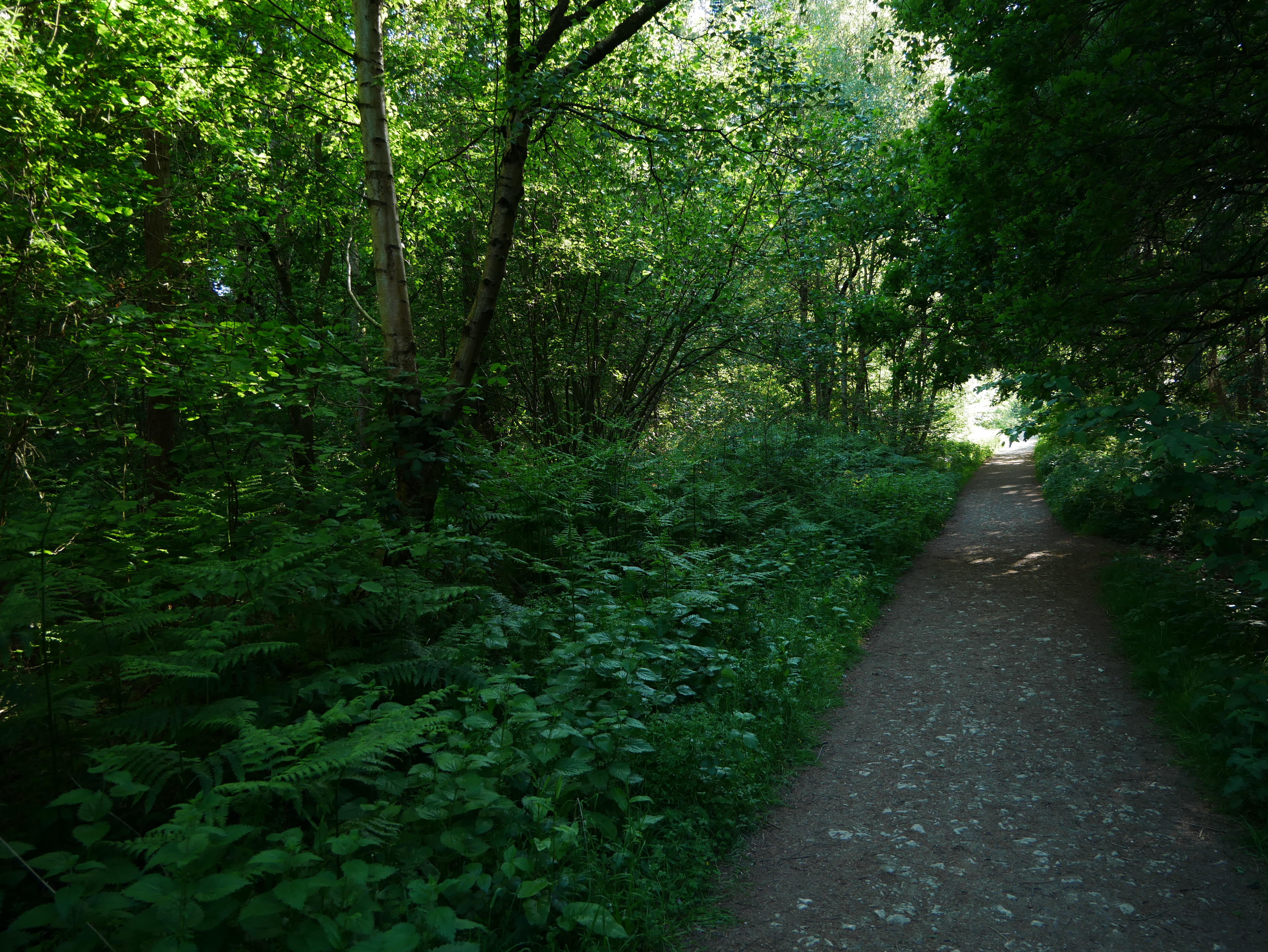 P1000592.JPG