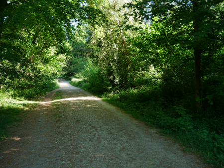 P1000597