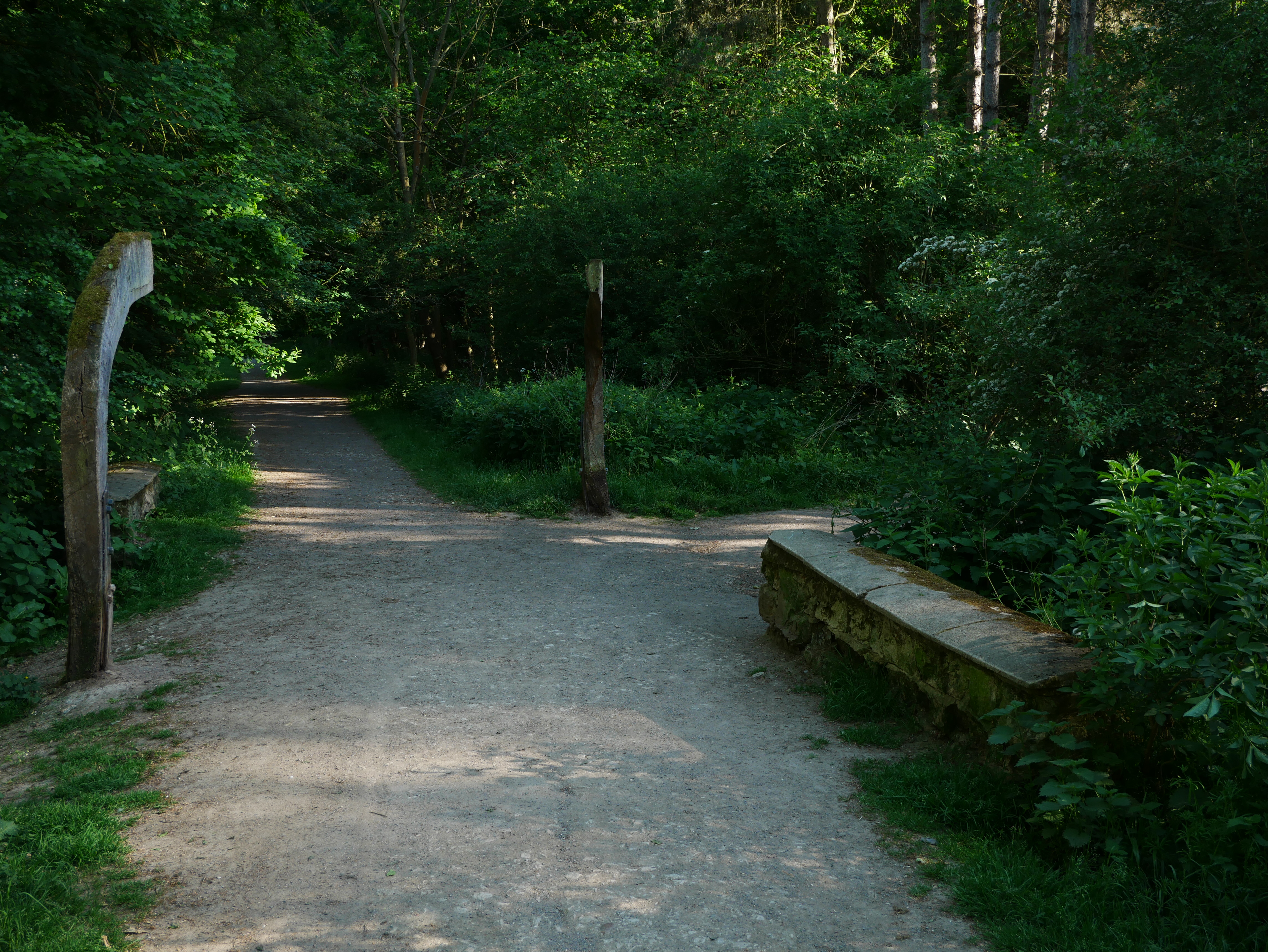 P1000598.JPG