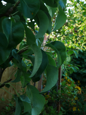 P1000651