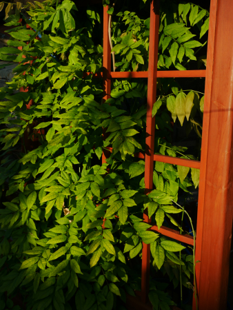 P1000680